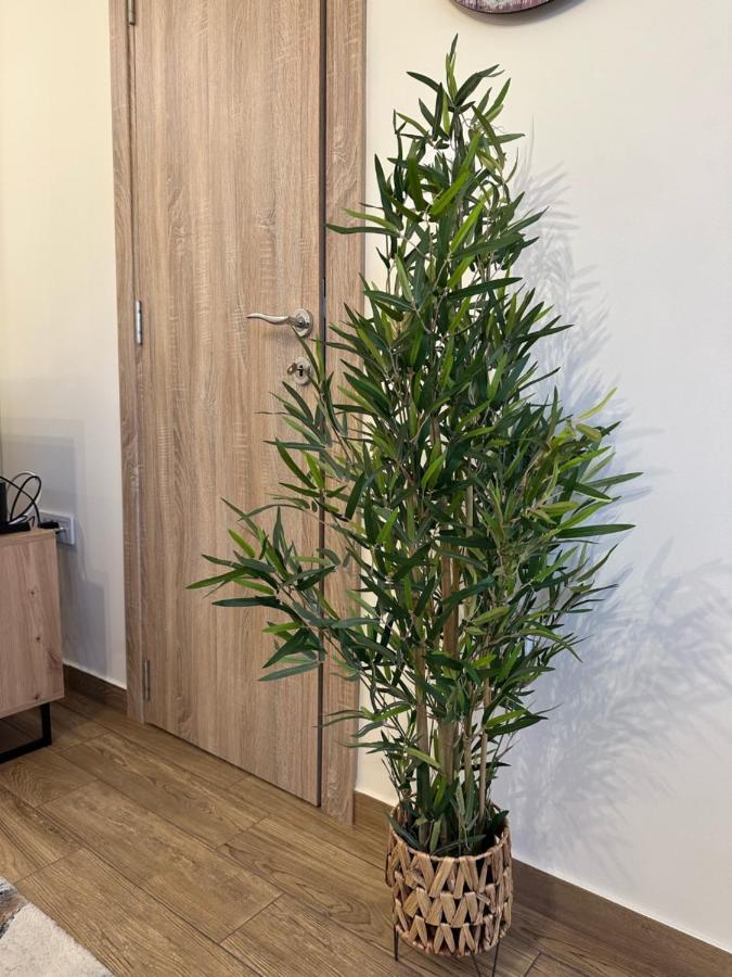 Apartment Aki コトル エクステリア 写真